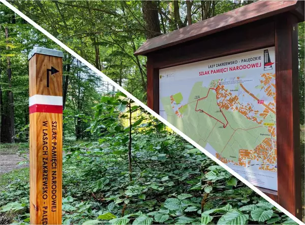 Nowe oznakowanie Szlaku Pamięci w Lasach Zakrzewsko-Palędzkich