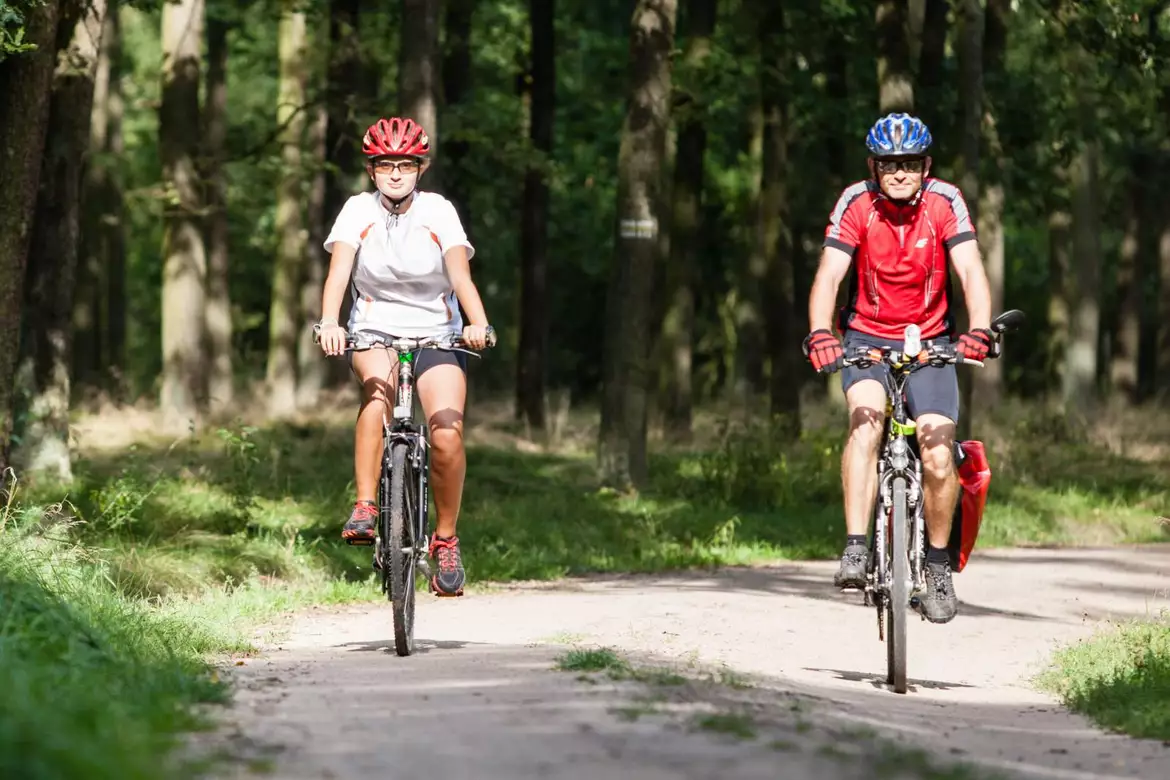 Trasy biegowo - rowerowe w lasach Dąbrówki, Palędzia i Zakrzewa
