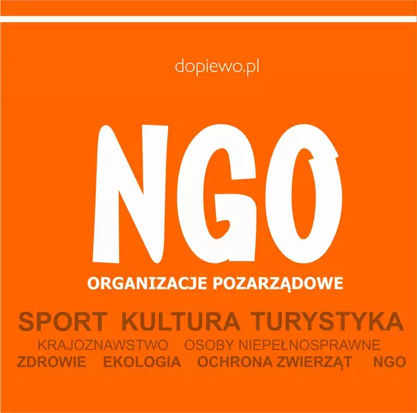 Konkurs NGO