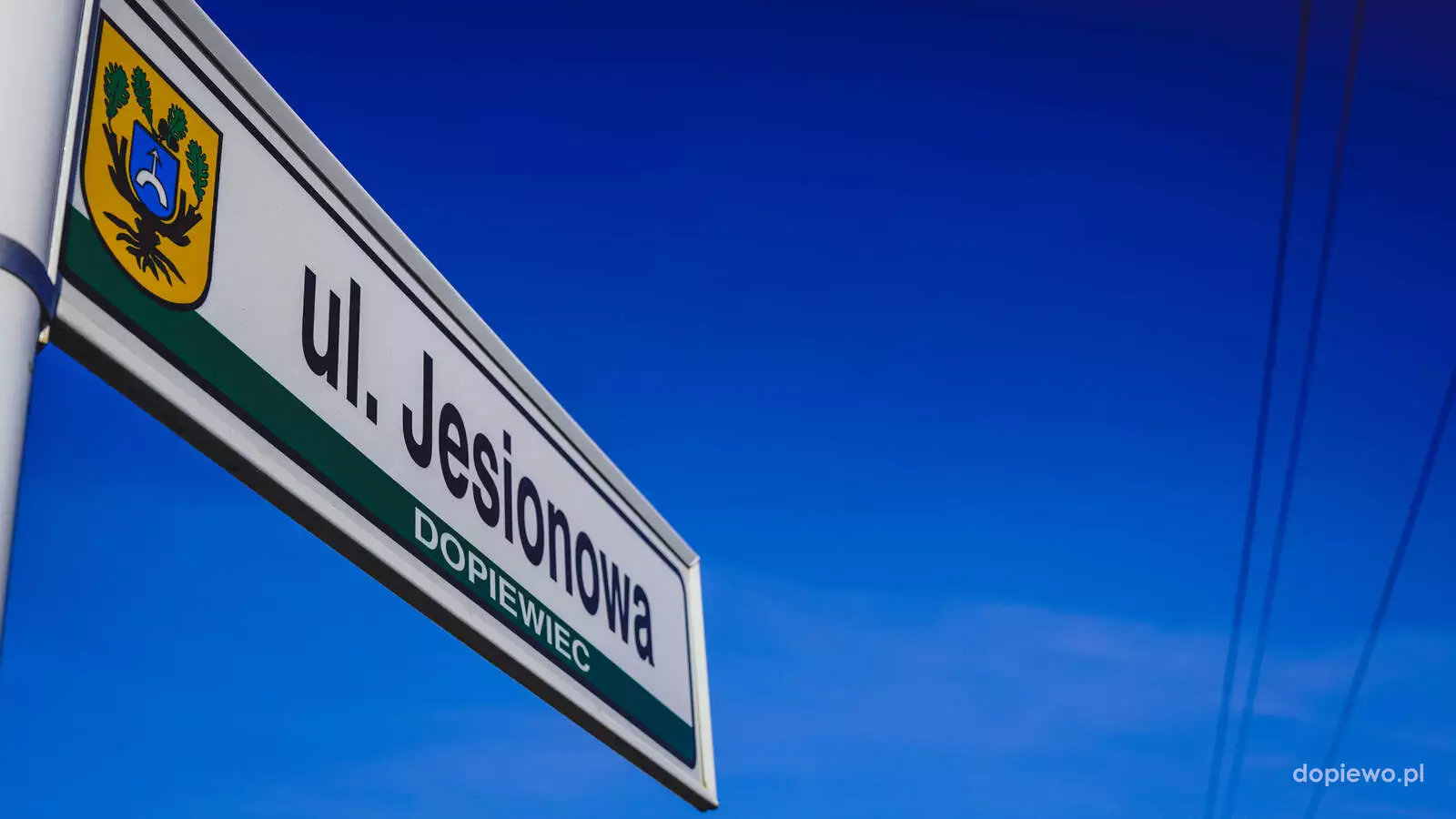 ul. Jesionowa w Dopiewcu